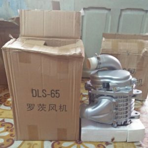 Đầu máy thổi khí DLS-65