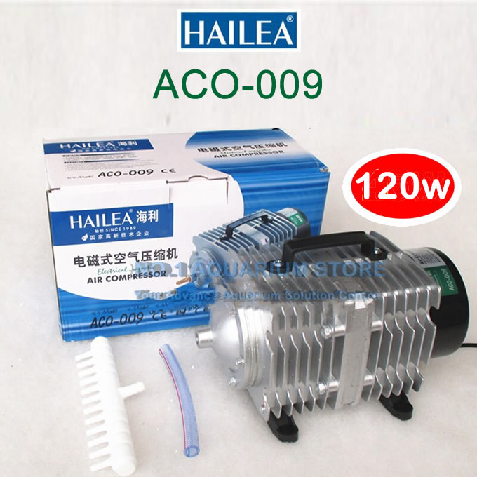 MAY_SUI_OXY_HAILEA_ACO_009.jpg