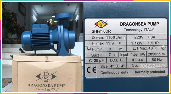 Máy bơm nước Dragonsea 1.5Hp họng hút xả 114