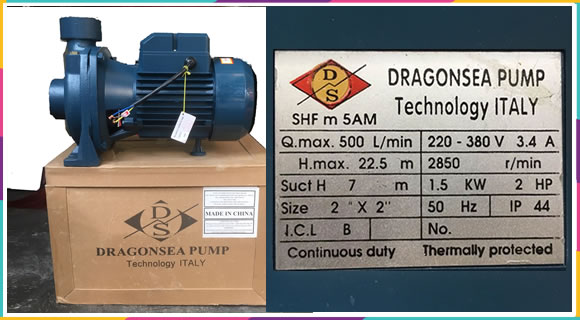 Máy bơm nước Dragonsea SHFm 5AM