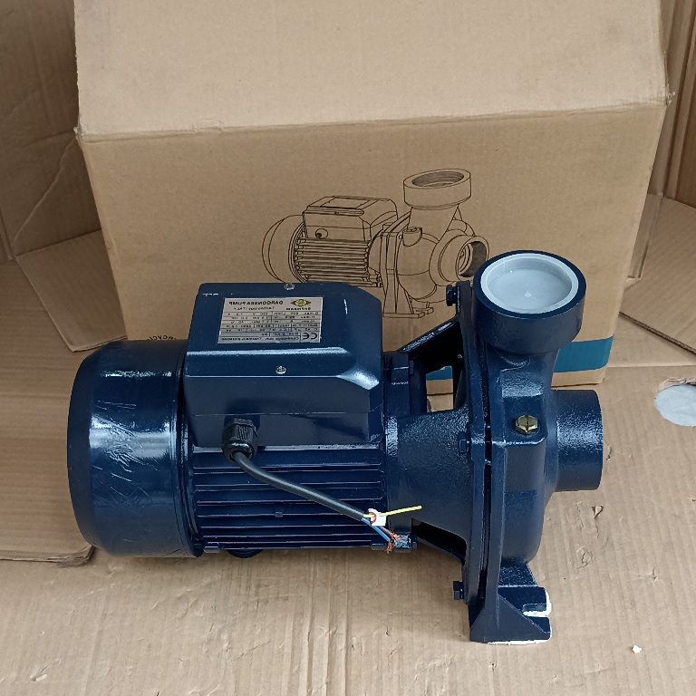 Máy bơm Dragonsea 1100w họng 60 (SHFm5BM)