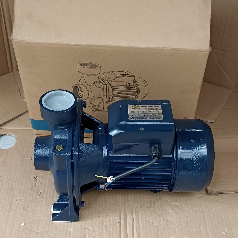 Máy bơm Dragonsea 2HP họng 114 (SHFm6BR)