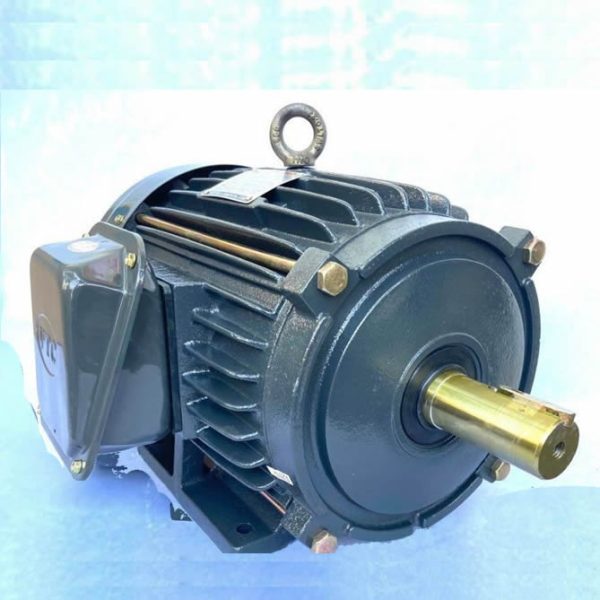 Motor VTC 10Hp 380v tua 1450