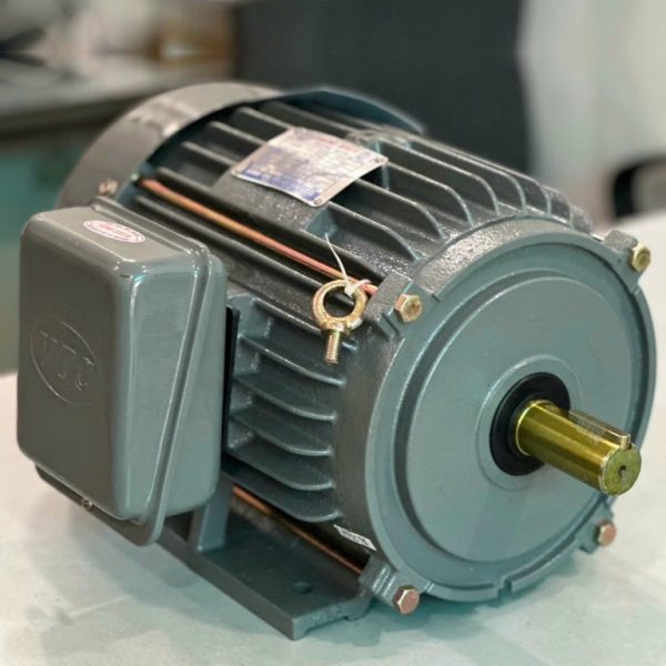 Motor VTC NT500 5Hp 220v tua 1450