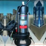 Máy bơm APP DSK-20T 2HP 380V (Có dao cắt)